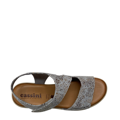 Cassini Molli