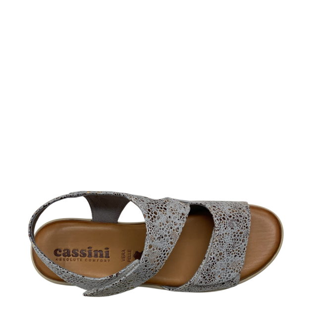 Cassini Molli