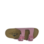 Plakton Bio BETA FLEX 186317