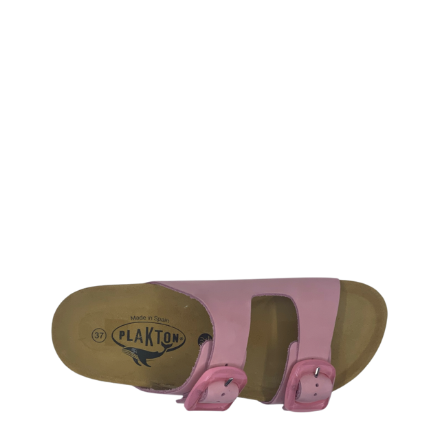 Plakton Bio BETA FLEX 186317